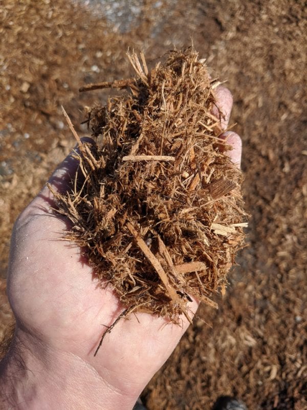cypress mulch in hand for scale in detail