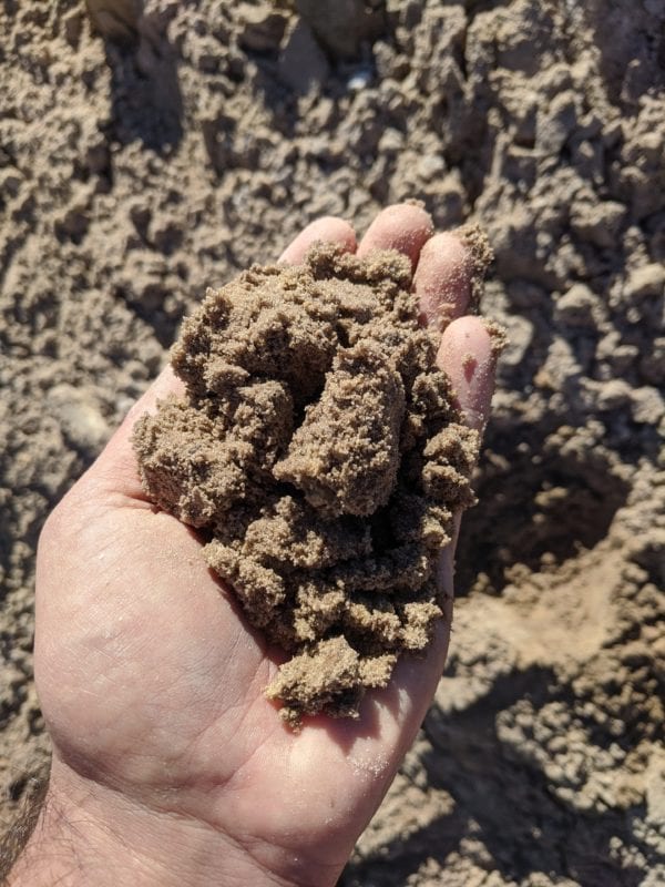 fill dirt in hand for scale and detail